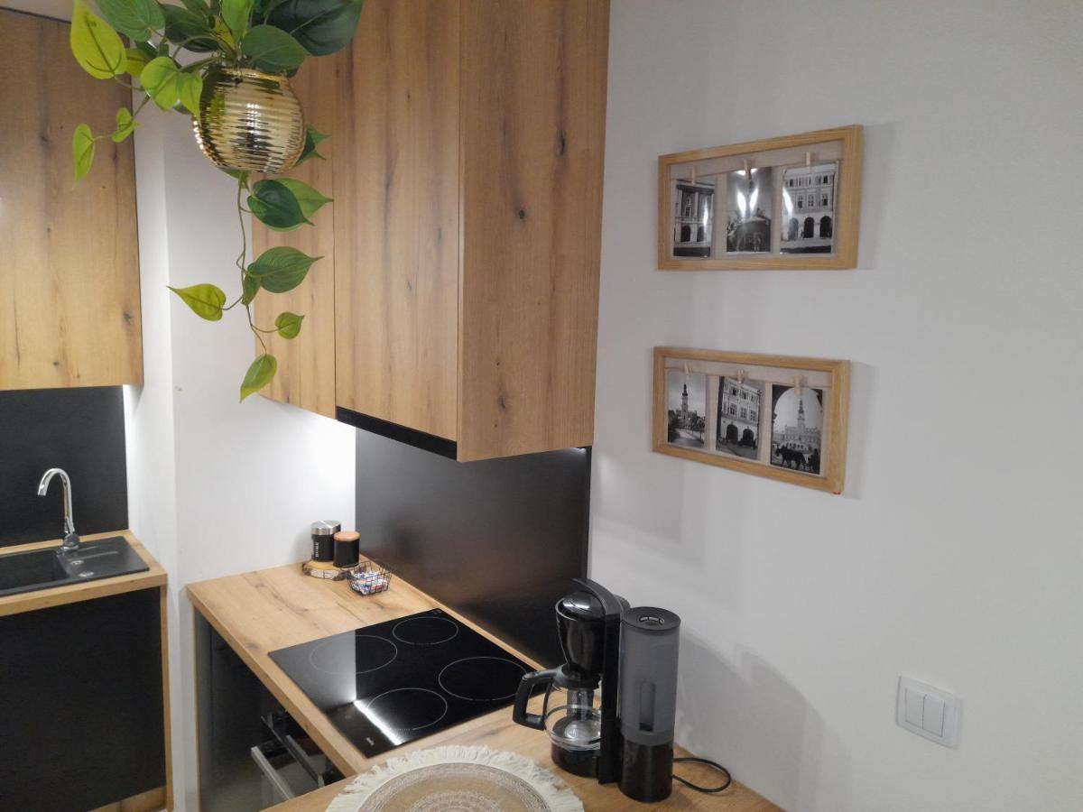 Apartament Amelia Zamość Eksteriør bilde